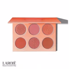 پلت رژگونه پودری شیگلم Sheglam مدل Multicolor