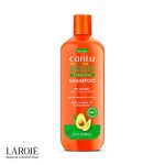 شامپو آووکادو کنتو